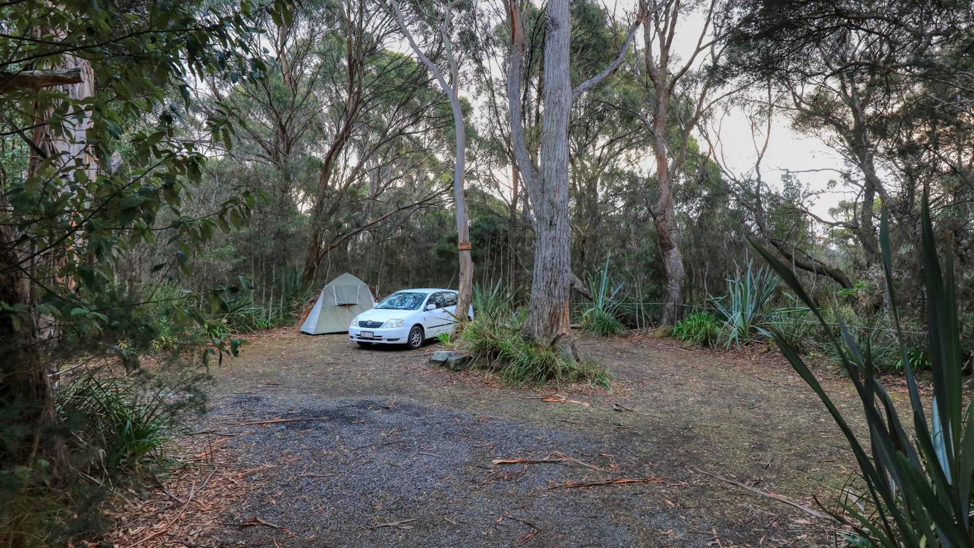 Crayfish Creek Van & Cabin Park Bagian luar foto