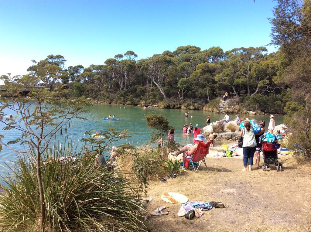 Crayfish Creek Van & Cabin Park Bagian luar foto