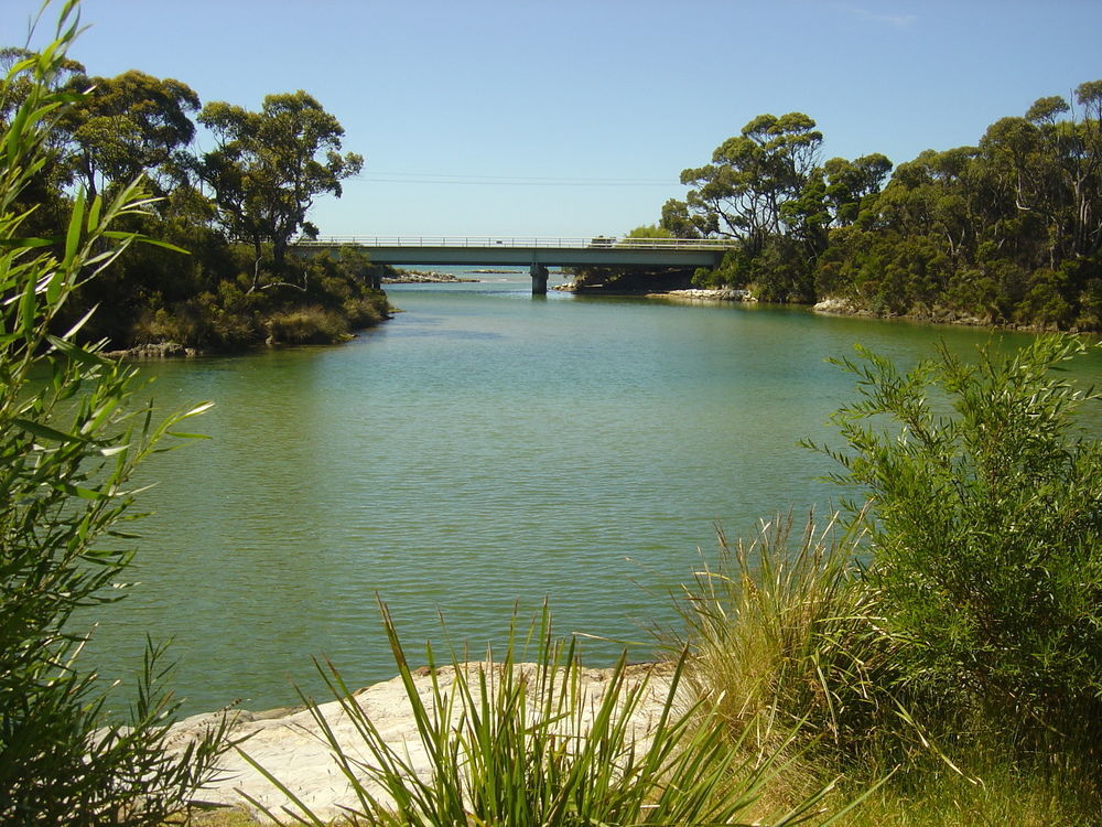 Crayfish Creek Van & Cabin Park Bagian luar foto